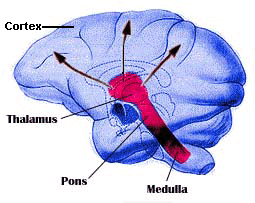 Using the principle of brainwave entrainment, this CD will guide your brain into an altered state of consciousness conducive for REMOTE VIEWING. 